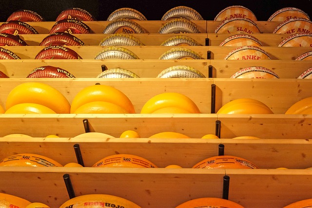 zrající kola sýrů